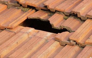 roof repair Rushford