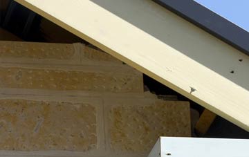 soffit repair Rushford